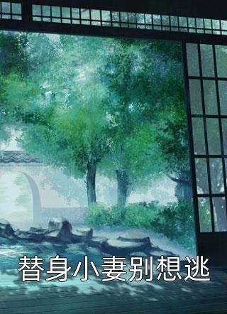 婚礼前夕,我收到妻子和经纪人的情趣照完整作品阅读