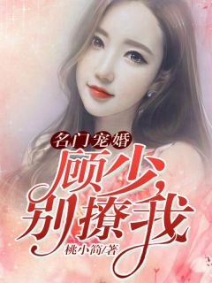 未婚妻从非洲回来后，我当上了爸爸畅读全文版