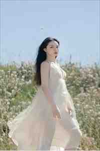 淡月微云皆是梦爽文