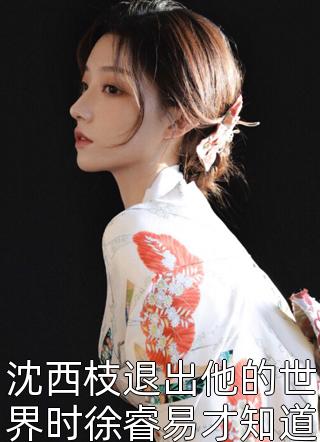 仙子为我留凡尘苏绾月江岩精彩小说完本小说下载