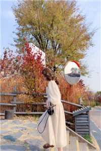 填我十万八千梦沈昭宜傅沉砚全本免费在线阅读完整版txt在线阅读