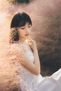 春华秋实周栩安陈意最新章节阅读完结版阅读