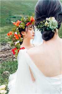 竹马让我和公鸡拜堂，我改嫁摄政王后他悔疯了顾时煜宋晴岚全文阅读下载最新章节列表笔趣阁