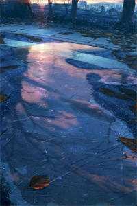 淡月烟雨寄朝朝祝沐雪江廷臣完整版小说免费阅读全文免费阅读_