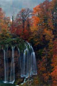 女友装残骗我99次后，我假死离开苏沐雪陈怀远完整版免费阅读全章节在线