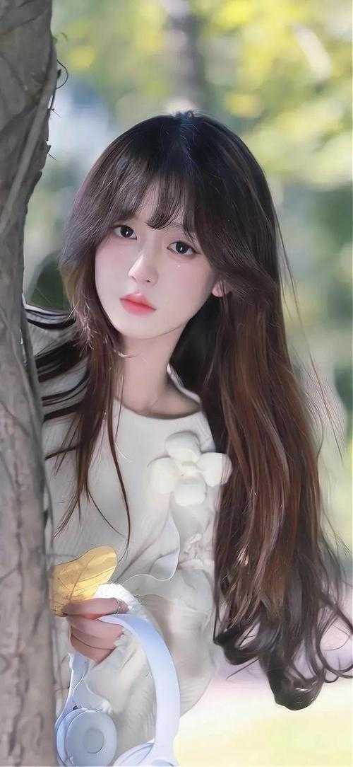 岁岁年年不逢春傅沉砚沈昭宜免费阅读完整版在线