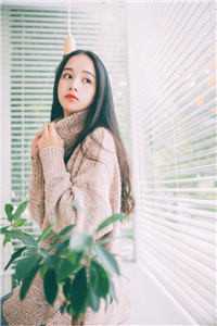 陆总以死谢罪，南小姐拒不回头！后续+全文免费阅读_陆总以死谢罪，南小姐拒不回头！后续+最新章节小说免费阅读_笔趣阁陆总以死谢罪，南小姐拒不回头！后续+完结文