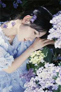 林毓奚盛淮全文免费阅读无弹窗大结局_最新章节列表_笔趣阁精选