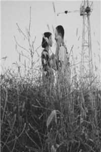 幸福倒计时匿名后续+全文