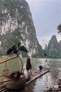 叶清霜许修文最完整版