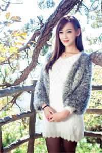 韶华不为少年留全书畅享在线+无广告结局未删节