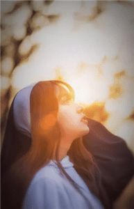 向云鹿宋窈窈段临舟彩蛋小说开篇+全书阅读全新作品预订在线最新全局