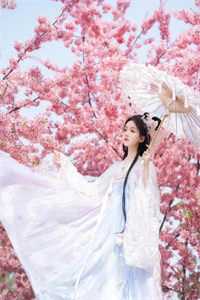 四合院:人生赢家许大茂!:许大茂娄小娥番外笔趣阁全章节