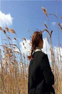 离婚后,我的前夫跪着求复合全局