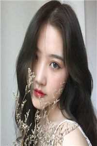 心似已灰之木下载