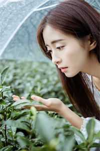 从此鲜花赠自己剧情