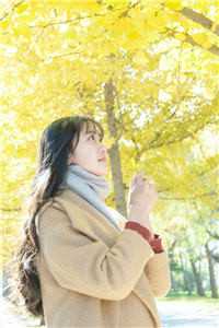 新任官途,我成了市潜心更新前文+后续