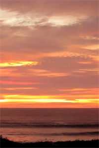 风雪无情她有意：全文+后续+结局最新章节列表_风雪无情她有意风雪无情她有意：全文+后续+结局在线阅读新上热文