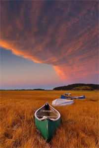 卿卿知我意必读文