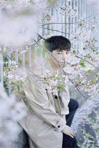 +陆淮之叶清欢林阳全文免费阅读无弹窗大结局_陆淮之叶清欢林阳免费阅读最新章节列表_笔趣阁全文+番外