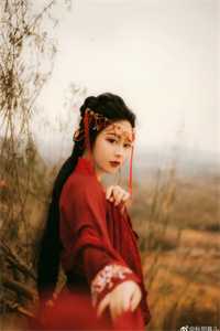 路遥星亦迟全文免费阅读：结局+番外厉晏舟常梨在线最新完结版在线阅读最新章节在线阅读