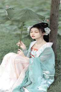 情深无虞竹马阿禾完结版免费阅读全本在线免费阅读