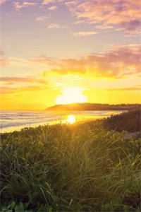 娶了美女总裁后，我的人生开挂了宋远顾时语全集在线阅读下载