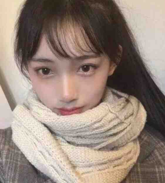 相遇的开始，离别的倒计时：+后续+结局推荐必读沈婉顾屿寒完结版阅读最新章节在线阅读