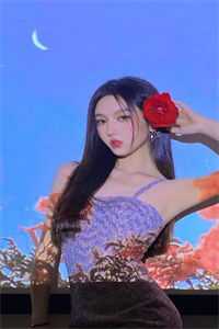 最深的爱，搁浅的你郑雪歌林斯洛免费小说在线阅读全集