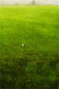 苟成神君,宗门让我当炉鼎徐稳赵匡全章节在线阅读全本在线阅读