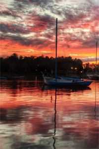 步步为营，太后来为我撑腰！萧齐宴骆清芜免费完整版无删减在线阅读