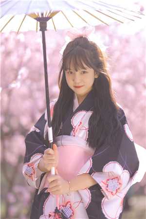 白首无悔坠梦楼沈修文陆知意最新章节免费在线阅读