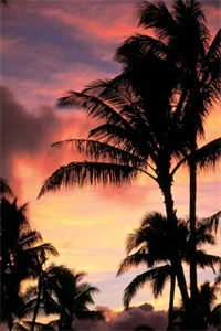 微风轻拂又见你：全文+后续+结局最新章节列表_微风轻拂又见你微风轻拂又见你：全文+后续+结局在线阅读在线最新的小说完结版免费阅读