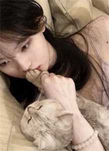 轻弹一首别离梁慕白苏洛全章节笔趣阁小说在线阅读