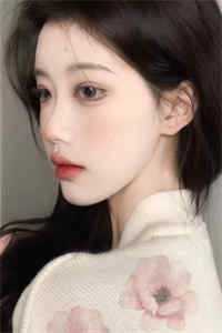 见鸢抖音热门小说在线免费阅读无广告