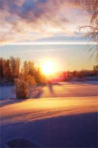 愚人节，男友扮流氓把我拖进深巷沫沫崔沫沫全章节在线阅读全本在线阅读