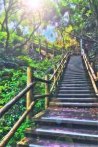 毒士：仅凭一计，轻松拿捏当代女帝高阳武曌完结版在线阅读最新章节在线阅读