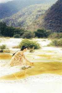 重生后我放弃继承公司江寒顾笙完整版免费阅读已完结小说