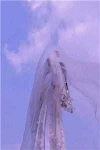 且停且忘且随风颜以溪贺宴辞免费小说在线阅读全集听书