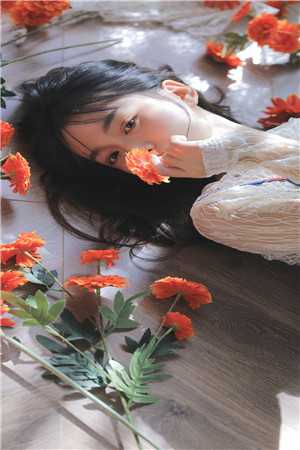 且停且忘且随风陆泽林嘉免费阅读完整版在线