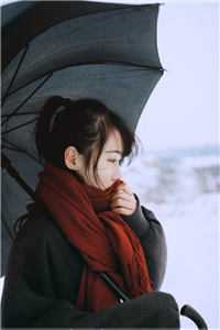 来如风雨，去似微尘沈南意傅临洲小说在线免费阅读无广告