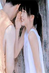 北风虽迟春不晚崔棠谢昭小说在线免费阅读无广告