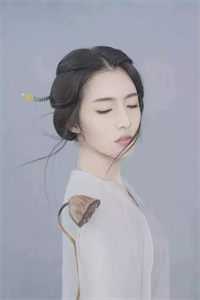 沈叙白阮青竹落日尽头无归途全书+后续阮青竹,沈叙白,谢绫欢全文免费阅读无弹窗大结局