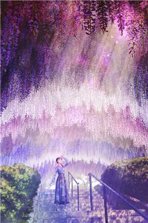 傅庭州苏枝夏全书+后续傅庭州苏枝夏已完结小说最新章节免费在线阅读