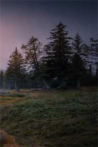 亲儿子被养子抢走传家宝后，我杀疯了顾长风顾谨言全文免费阅读全集在线阅读