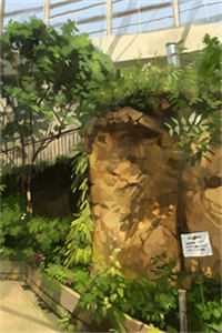 丁克老婆带回一对龙凤胎，还要我把百亿财产交给他们迟雨棠唐宇完结版免费阅读全本在线