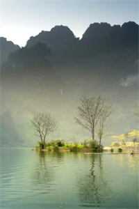 她已走远苏然霍霆舟免费小说在线阅读全集听书