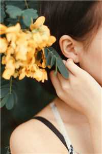 春意遥遥玉遥婉婉全章节在线阅读有声小说