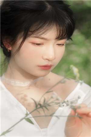 我在回忆里万劫不复：+全文+后续秦见鹿谢梵声免费阅读笔趣阁txt