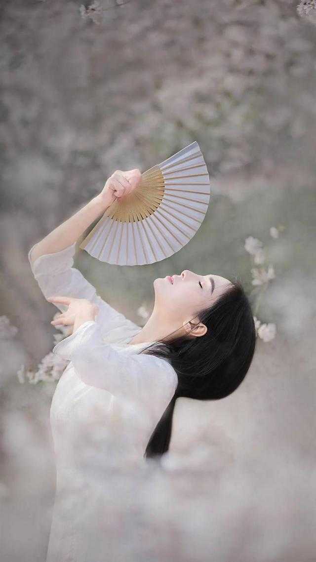 爱意散尽两茫茫陆止渊苏冉全文免费在线阅读完结版免费阅读